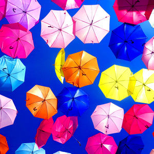 Meet your Posher, Fabi